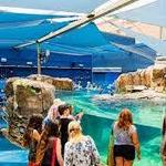 Birch Aquarium