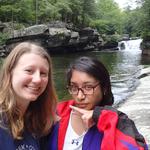 Bristol Falls