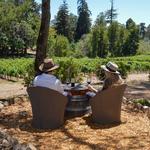 Bartholomew Estate Winery