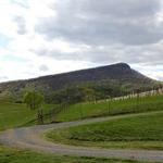 Rockbridge Vineyard & Brewery