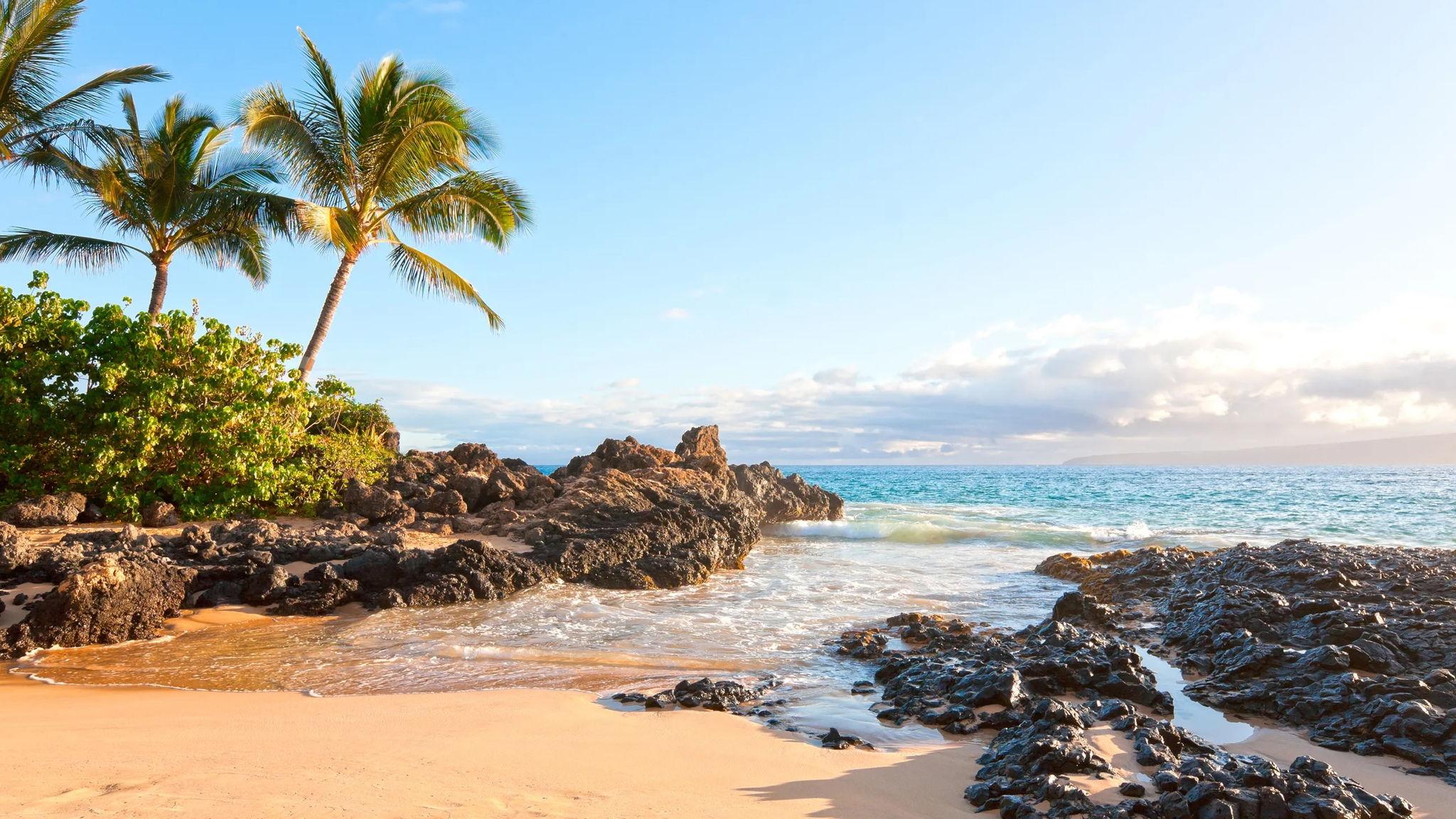 The Wedding Website of Scotty Wismer and Dani Yee