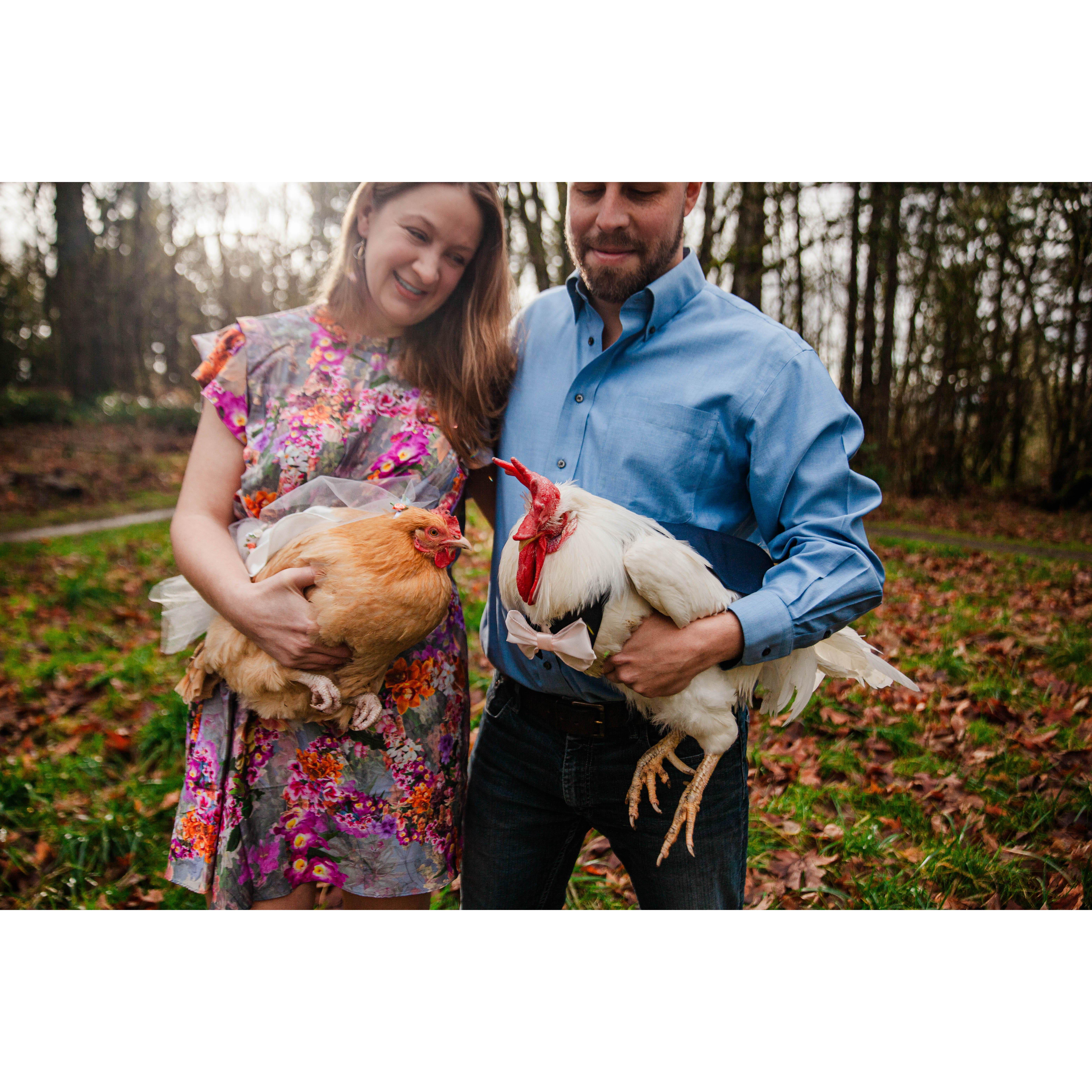 Chickens play a major role in Peter and Anna's life, so suitably they had starring roles in the engagement photoshoot