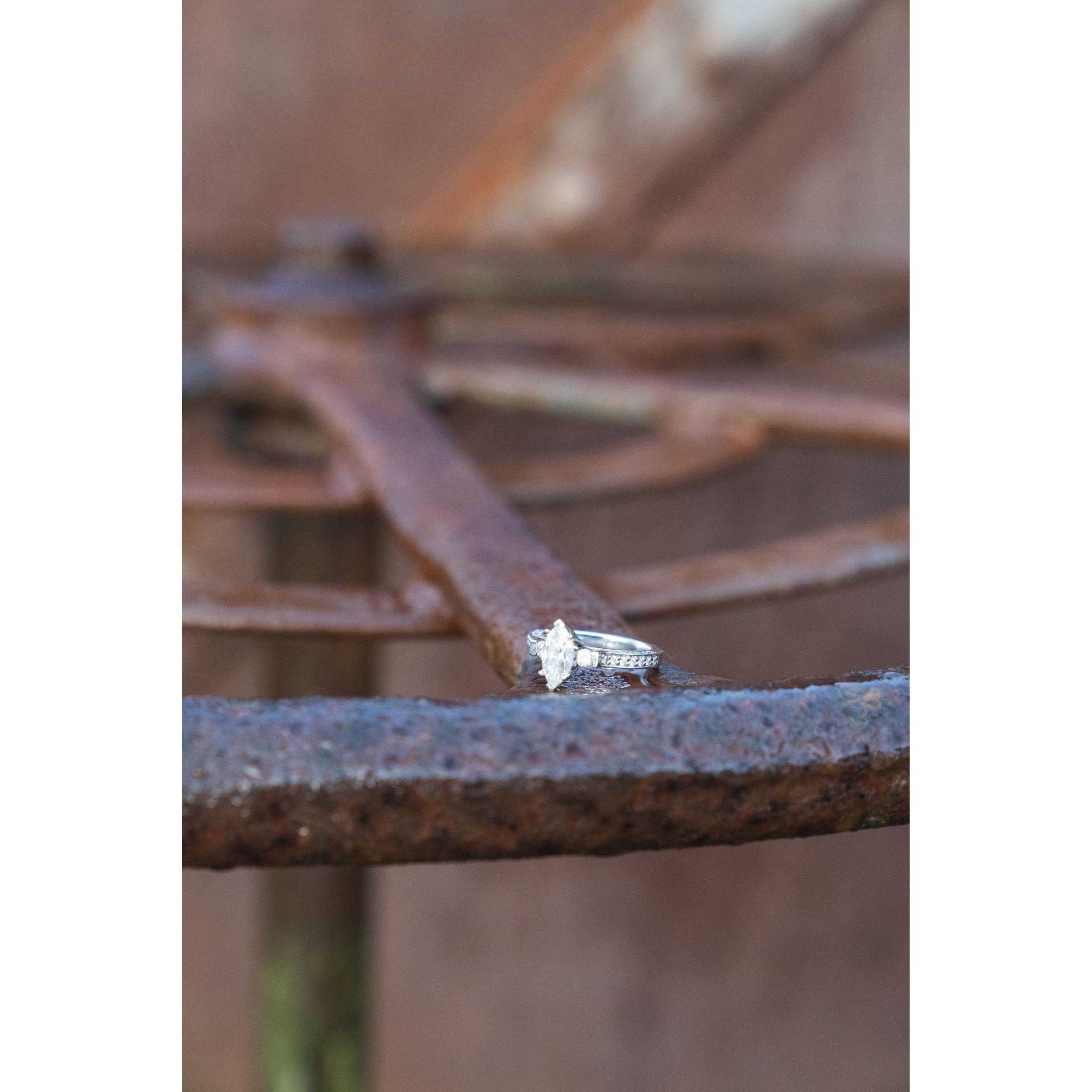 Cole Ditzel took some amazing shots at the place we got engaged! Let us know if you want his contact information :)
