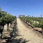 Wilson Creek Winery