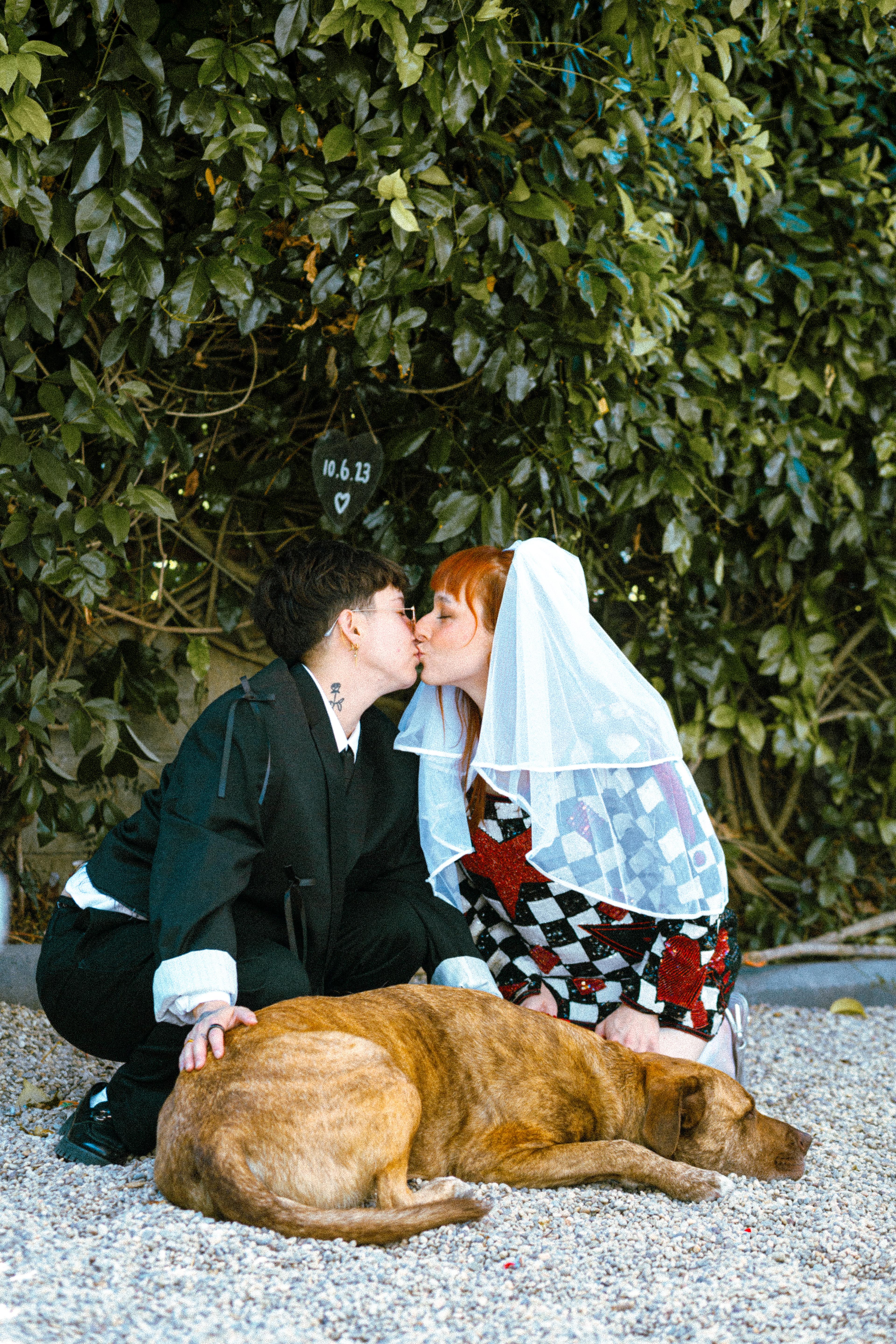 The Wedding Website of Allie Wessel and CC Rozen