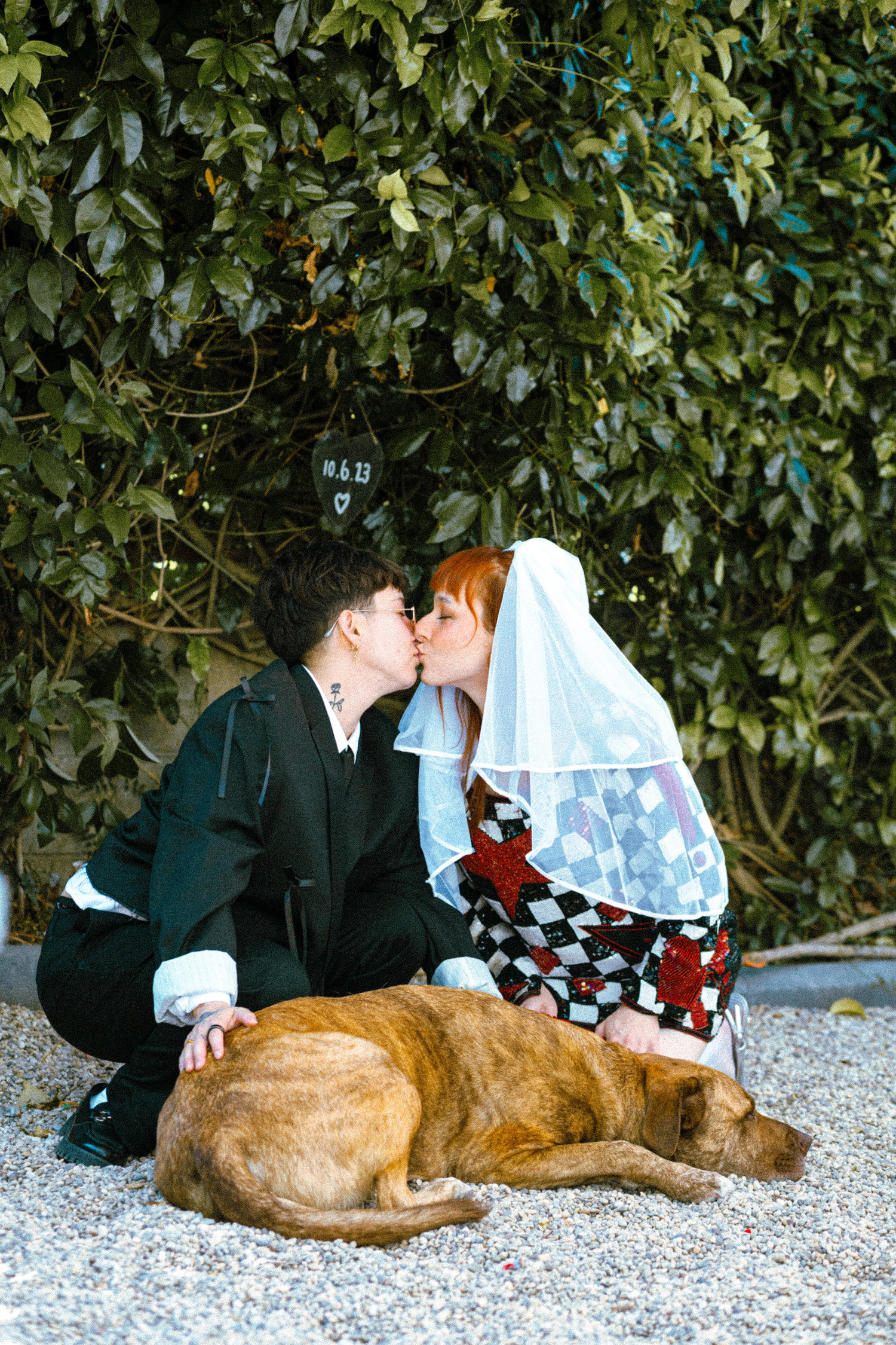 The Wedding Website of Allie Wessel and CC Rozen