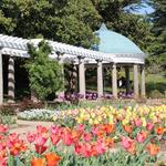 Maymont