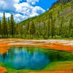 Yellowstone National Park