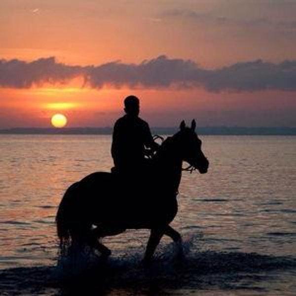 Horseback Riding On Our Honeymoon