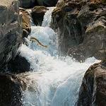 Salmon Cascades
