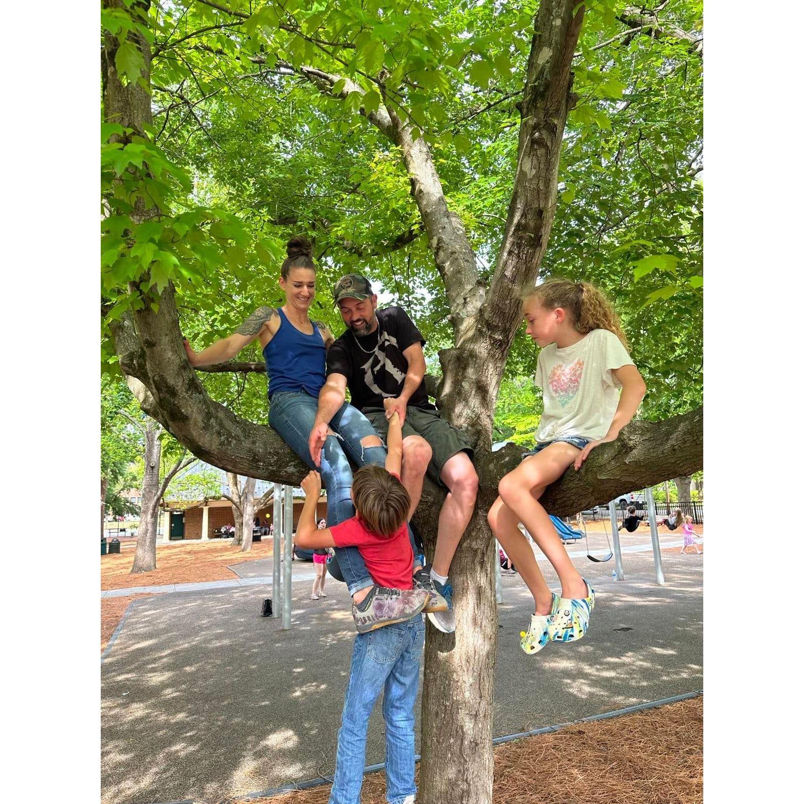 Of course we are in a tree!!