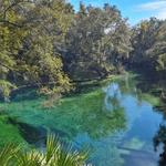 Blue Spring State Park