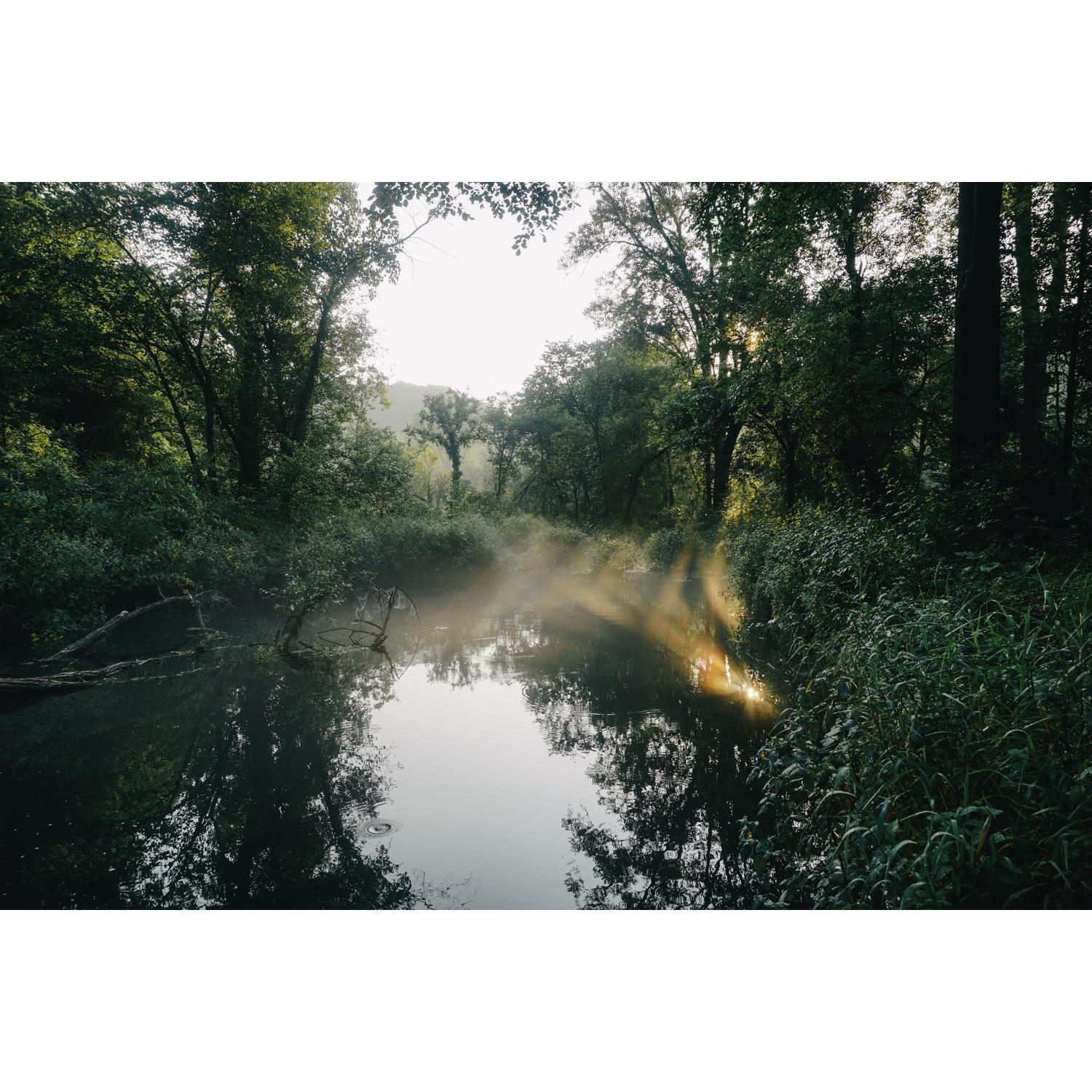 Thick fog, cold creek shower.