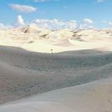 Samalayuca Dune Fields