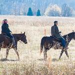 Horseback Riding, Fishing, Kayaking, Biking, Hiking