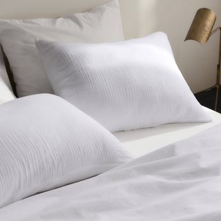 Organic Cloud Cotton Sham, Set of 2