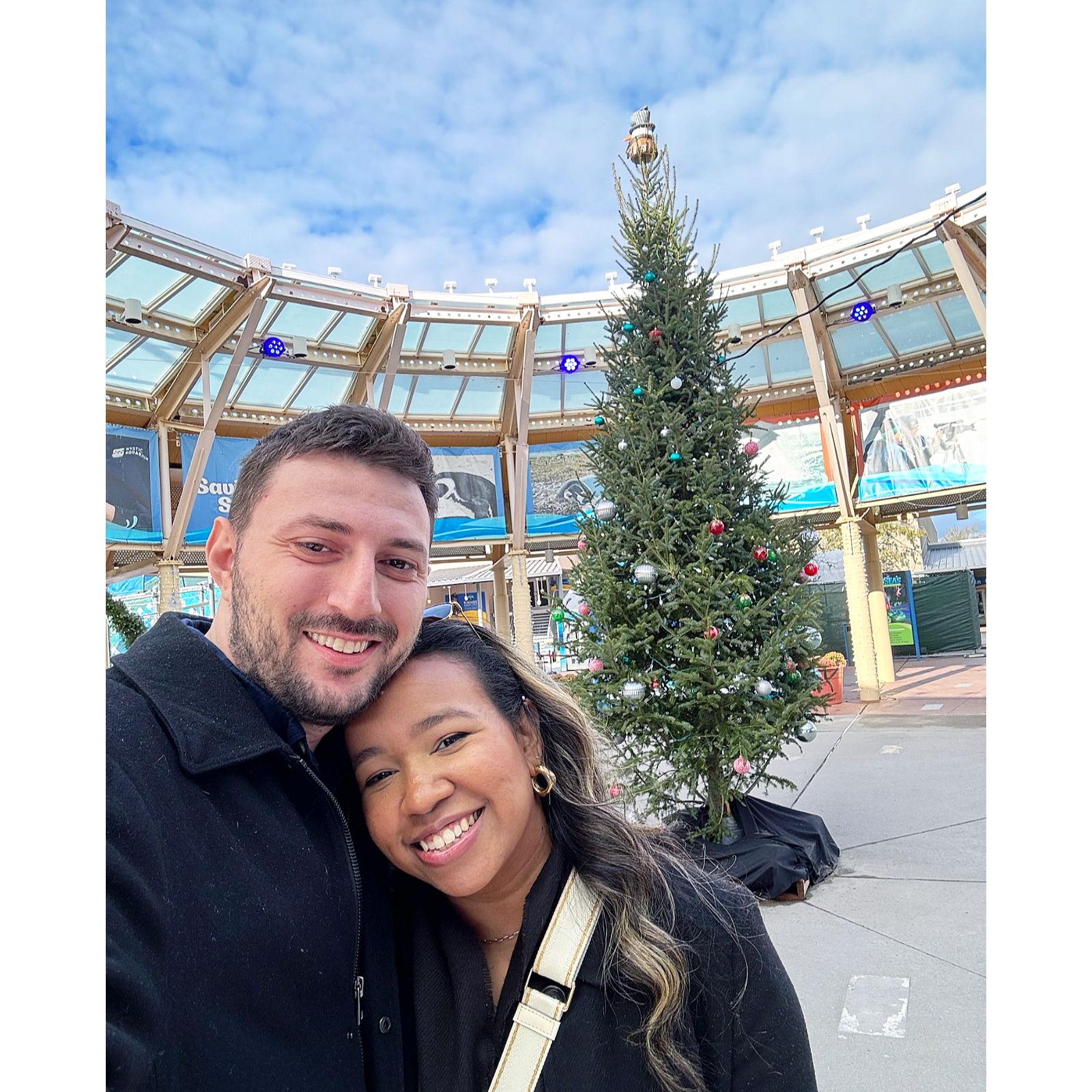 @ Mystic Aquarium in Mystic, CT
