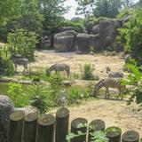 The Maryland Zoo in Baltimore