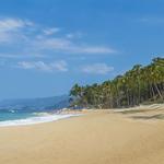Beaches South Zone