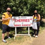 Seko Ranch