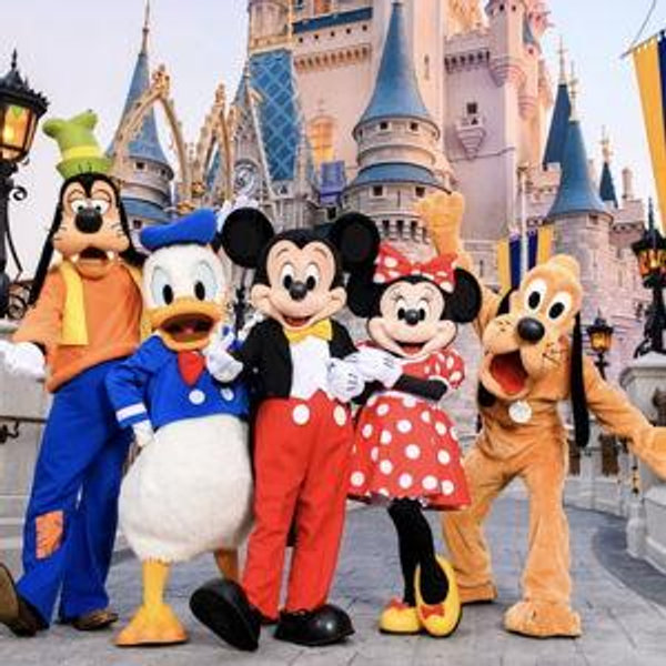 Disney World Fund