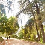 Prospect Park