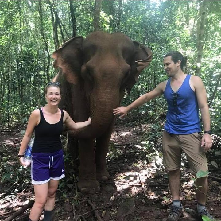 Elephants in Cambodia