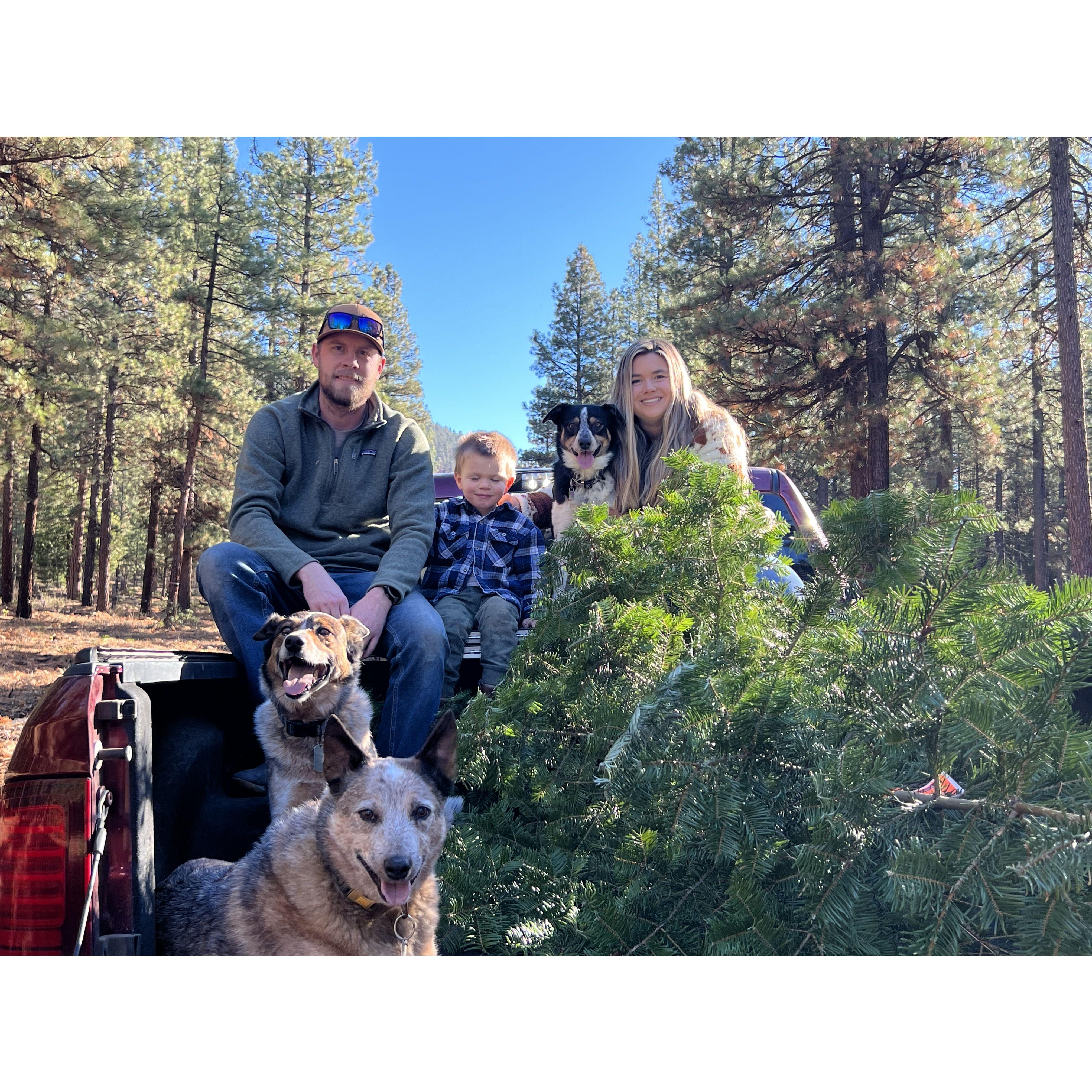 Our anual Christmas tree cutting