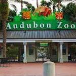 Audubon Zoo