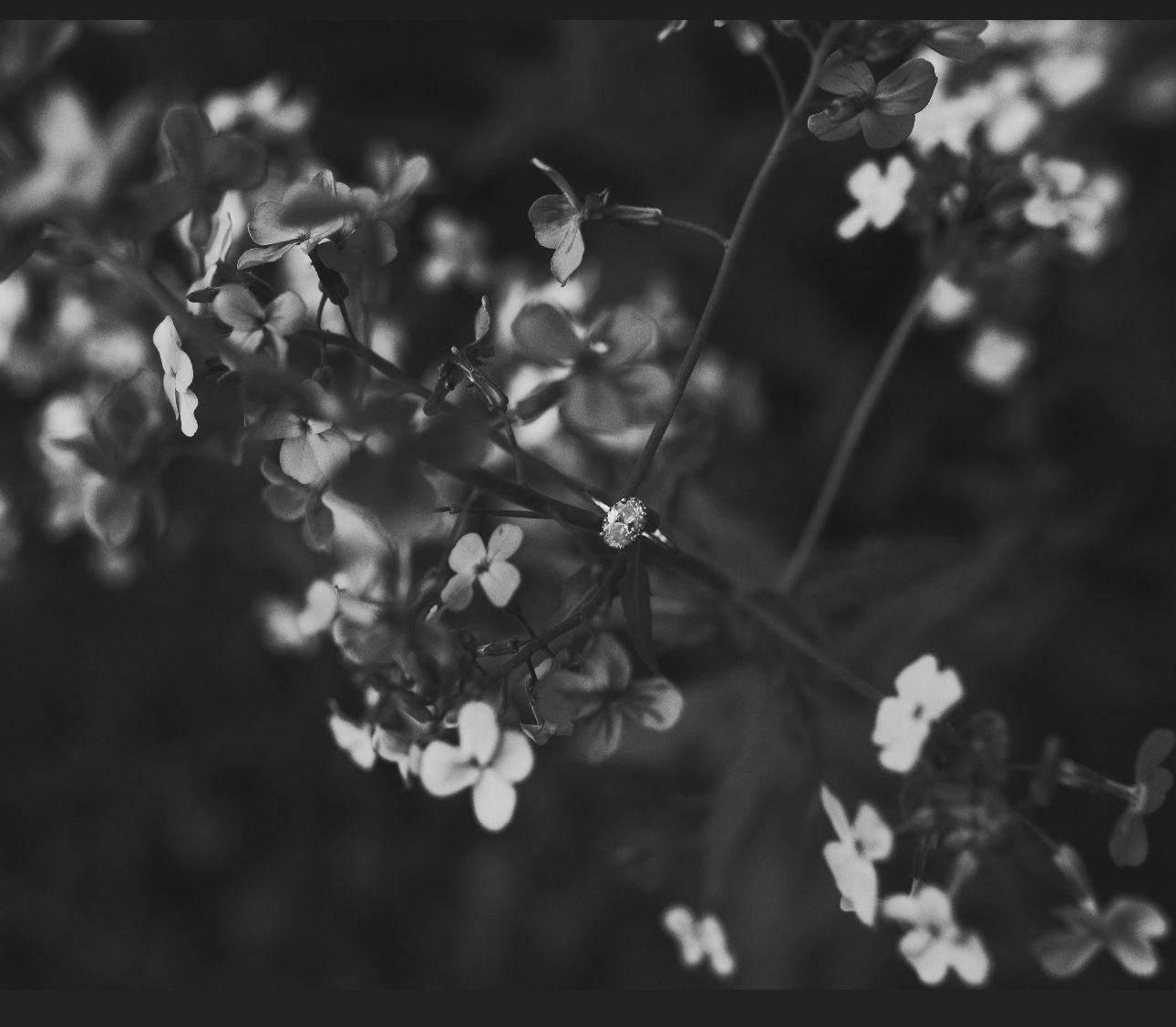 The Wedding Website of Erin Abernathy and Spencer Boettcher