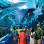 Ripley's Aquarium of the Smokies
