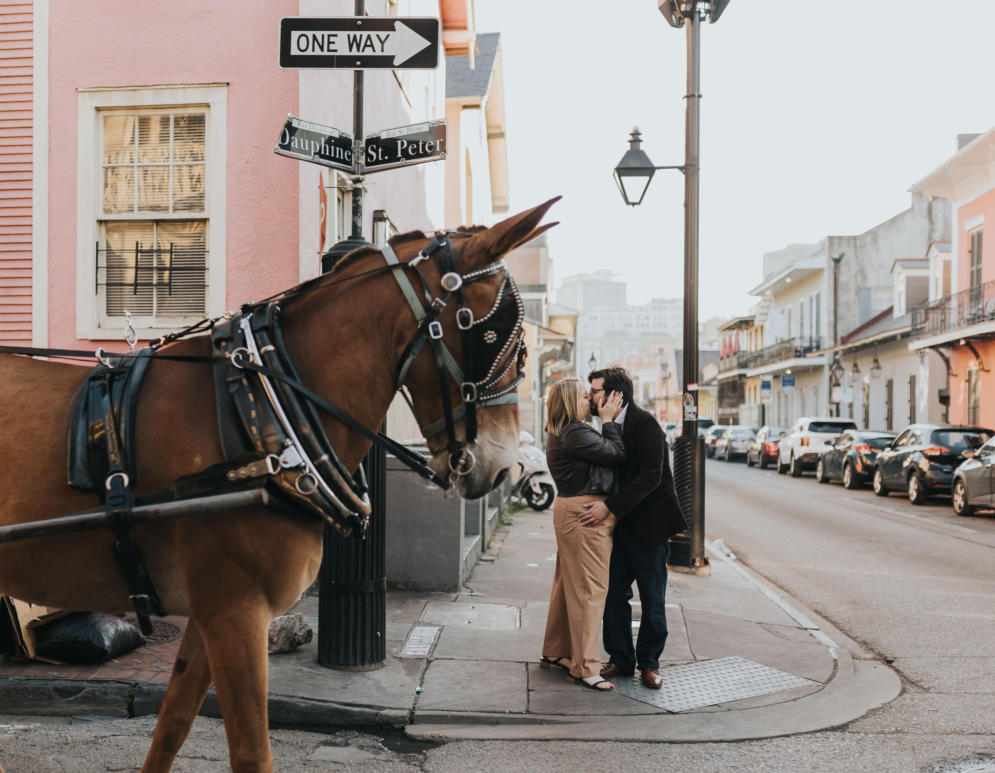 The Wedding Website of Lauren Rady and Nick Fernandez