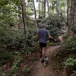 Montreat Gate Trail