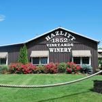 Hazlitt 1852 Vineyards