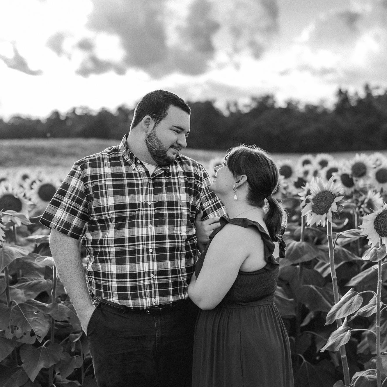 Lesher's Sunflower Field | Chambersburg, PA | @ccphotography_2015 - Instagram
