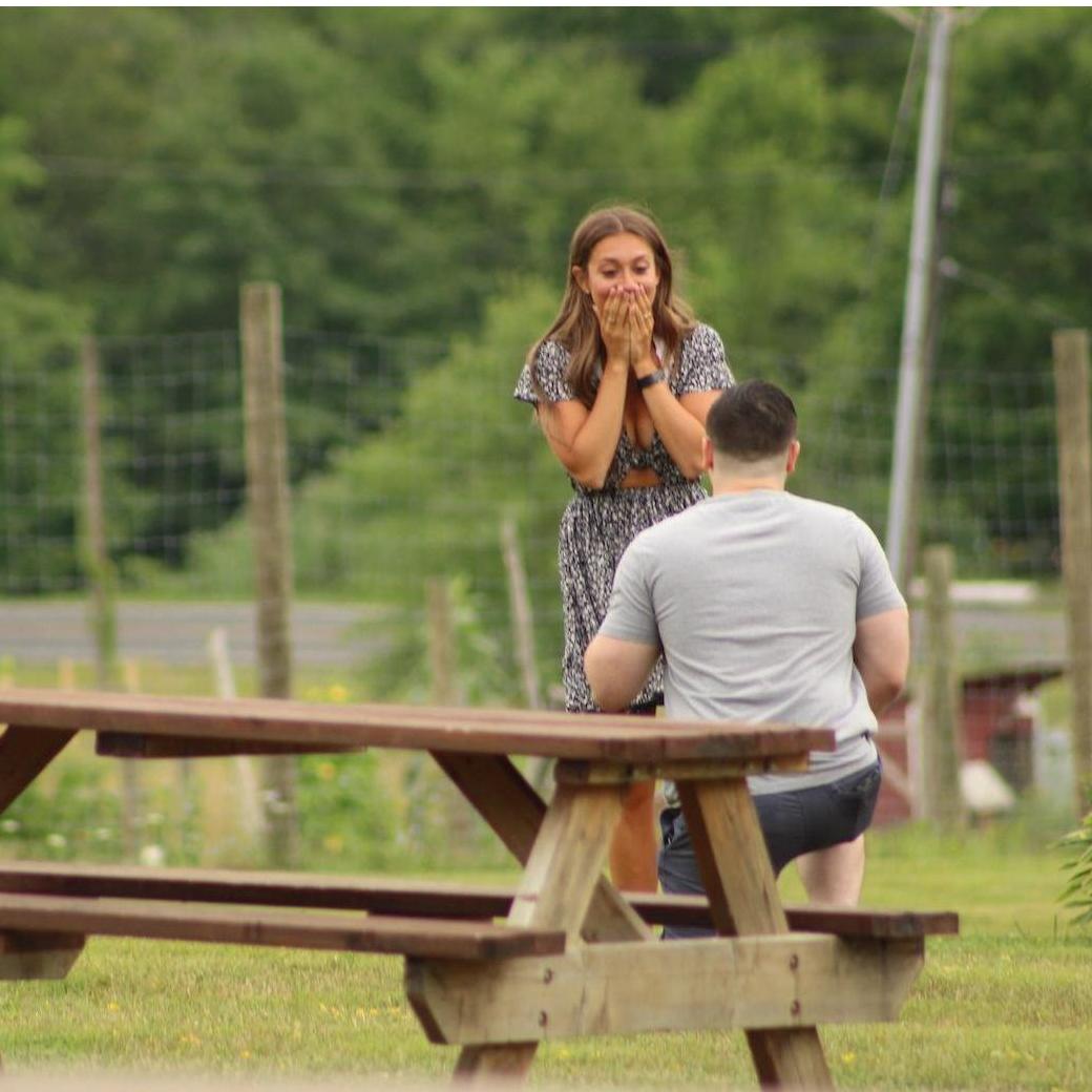 The Proposal 7/24/2020