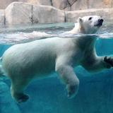 Pittsburgh Zoo & PPG Aquarium