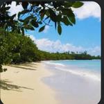 Buccoo Beach
