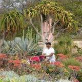 Los Angeles County Arboretum