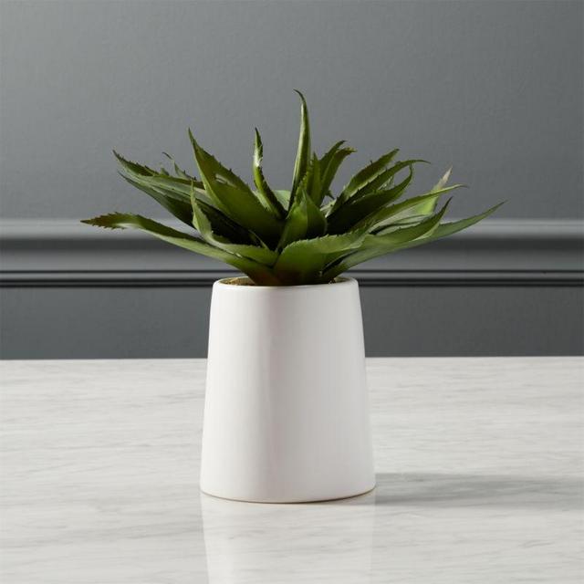 CB2 Potted Faux Aloe