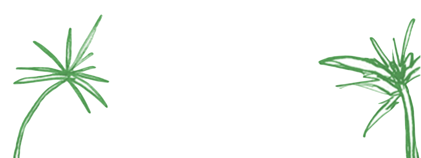 The Wedding Website of Carly Sparano and Austin Sneed