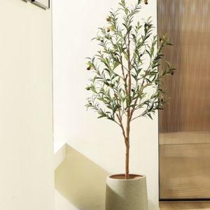 DR.Planzen 5ft Artificial Olive Tree Indoor, Tall Faux Olive Tree, Artificial Plants with Natural Wood Trunk and Lifelike Fruits for Home Office Decor