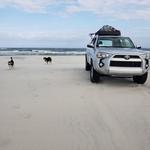 ORV & Beach Driving