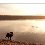 Leisure Time at Tamaracks Resort