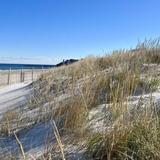White Horse Beach
