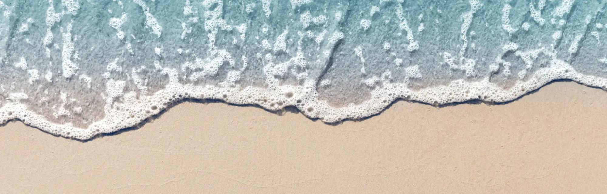 The Wedding Website of Lauren Palmucci and Kyle Suguitan