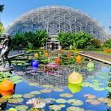Missouri Botanical Garden