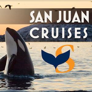 Whale Watching Lunch Cruise: San Juan Cruises