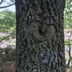 Emmenegger Nature Park