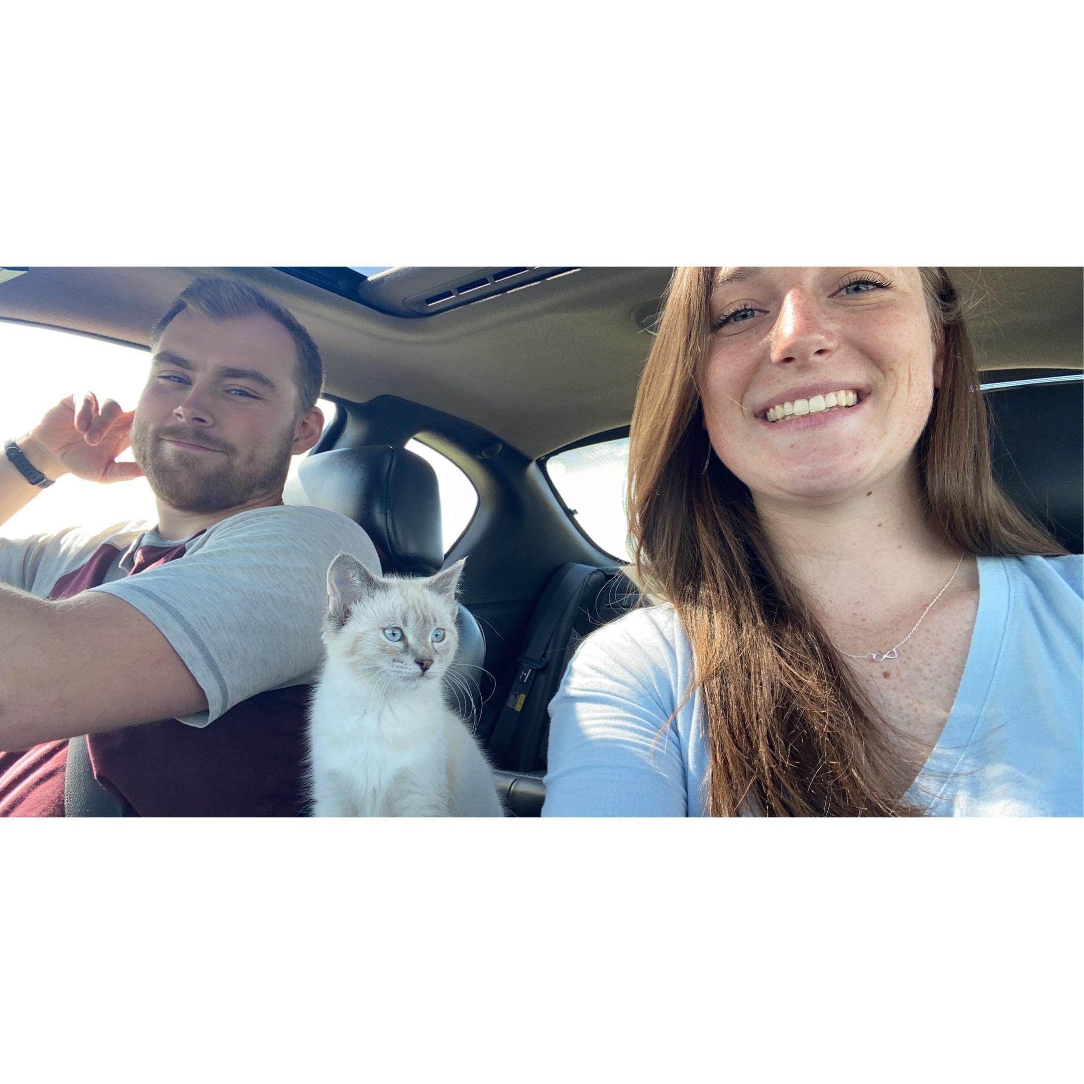 Adding to our little family! Finnick!